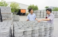 Tìm đầu ra cho gạch không nung