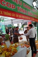 Bắc Kạn: Đưa đặc sản vùng, miền vươn xa