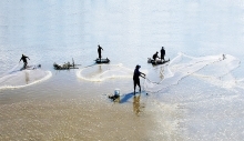 An Giang province records good export growth of key items