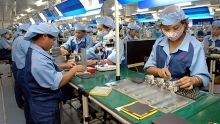 Five commodities see exports over US$1 billion