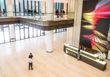 Buddy Bears – the Ambassadors of the German-Vietnamese friendship