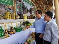 Vùng duyên hải Nam Trung Bộ và Tây Nguyên: Đổi thay nhờ xây dựng nông thôn mới