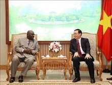 Vietnam wishes to further strengthen ties with South Africa and Nigeria