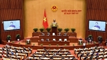 Parliamentary actions expected to drive national development