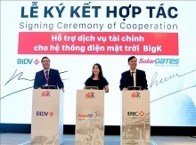 Rooftop solar power to be insured