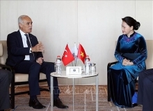 Turkish economic official welcomes NA Chairwoman to business forum