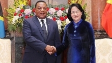 Tanzania a prioritised African partner of Vietnam: Acting President