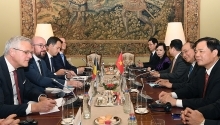 PMs hold talks on progress of Vietnam-Belgium relations