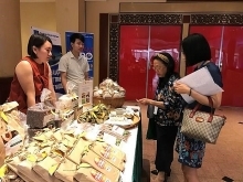 Vietnamese firms explore Bulgarian, Romanian markets