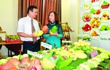 Vietnam, Australia explore potential of strategic pact