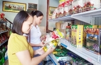 Quảng Ninh: Tập trung 4 trụ cột