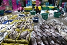 US suspends duty-free treatment of Thai products