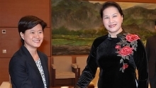 NA Chairwoman, ambassador discuss upcoming trip to Singapore