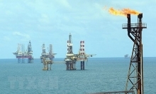 Petroleum law to be revised to facilitate sustainable growth of oil sector