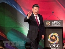 Chinese leader urges APEC members to work towards open global economy