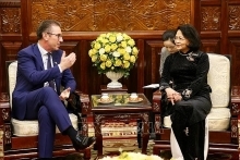 Ireland’s renewable energy developer pledges support for Vietnam