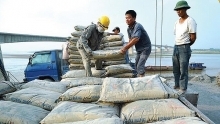 Cement consumption continues to rise