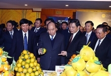Hoa Binh inks deals worth billions of USD at investment promotion conference