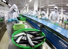 Vietnam targets US$10 billion from aquatic exports in 2019