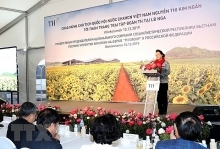 NA leader visits Vietnamese embassy, TH Group’s project in Russia