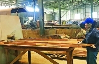 Công ty CP Chế biến lâm sản Quảng Ninh: Khởi sắc nhờ đi đúng hướng