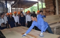 Đăk Nông: Điểm nhấn mô hình trình diễn kỹ thuật