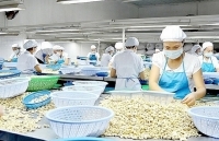 Bình Phước: Triển khai đề án điểm