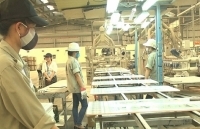 Phú Thọ: Giải pháp thiết thực, hiệu quả tăng