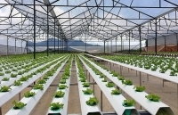 Thị trường công nghệ: Mức đầu tư gia tăng