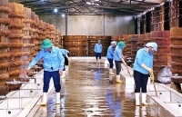 Tiếp sức cho doanh nghiệp