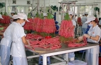 Doanh nghiệp chế biến thực phẩm: Chất lượng là yếu tố tiên quyết