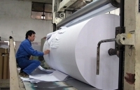 Công đoàn Tổng công ty Giấy Việt Nam: Hưởng ứng Tháng Công nhân