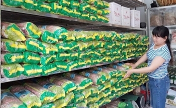 Hỗ trợ công nghiệp nông thôn ở Bắc Kạn: Trọng điểm, tăng khả năng lan tỏa