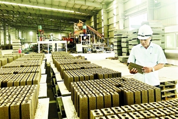 Đẩy mạnh xử lý tro xỉ, thạch cao