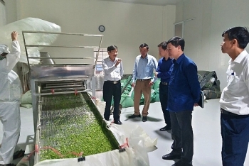 Khuyến công Hải Dương: Ưu tiên vốn cho sản xuất