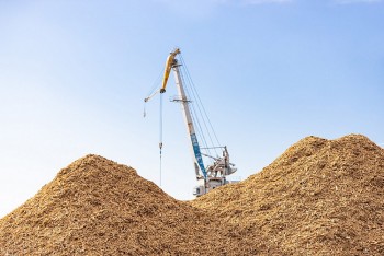 Thị trường tín chỉ Carbon: Doanh nghiệp đóng vai trò chủ thể