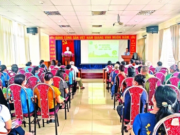 Công ty TNHH MTV Môi trường Đô thị Hải Phòng: Nhân rộng mô hình phân loại rác tại nguồn