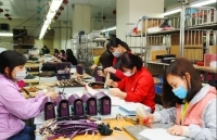 EVFTA: Cơ hội quốc tế hóa thương hiệu Việt