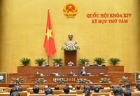 Đổi mới toàn diện cách tiếp cận chính sách đối với vùng đồng bào dân tộc thiểu số, miền núi, vùng đặc biệt khó khăn