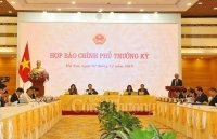 Họp báo Chính phủ thường kỳ tháng 11/2019: Đảm bảo nguồn cung và bình ổn giá thịt lợn dịp cuối năm