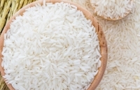 Cơ hội xuất khẩu gạo vào Hàn Quốc từ hạn ngạch thuế quan