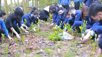 6.500 cây xanh - 6.500 mầm hạnh phúc