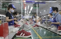 Kỳ II: Chính phủ chia lửa cùng doanh nghiệp