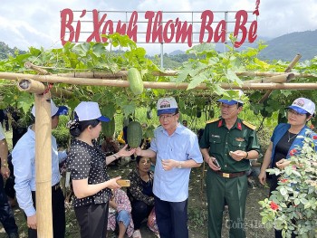 Bắc Kạn xúc tiến tiêu thụ bí xanh thơm và sản phẩm OCOP