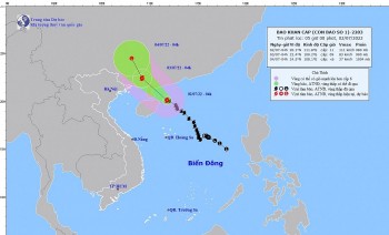 Bão số 1 giật cấp 14 đang hướng gần Quảng Ninh, Bắc bộ mưa to từ chiều tối nay