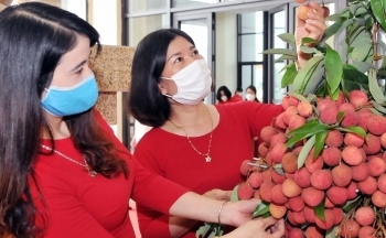 Xúc tiến thương mại: Thúc đẩy tiêu thụ sản phẩm trong và ngoài nước