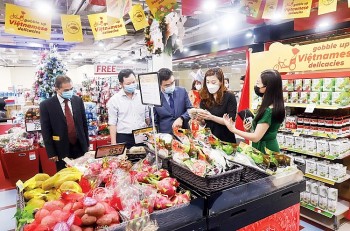 Giao ban Thương vụ định kỳ: Xây những “cây cầu” vững chắc cho doanh nghiệp Việt