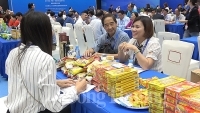 Đưa hàng hóa Việt tiếp cận nhà nhập khẩu Trung Quốc