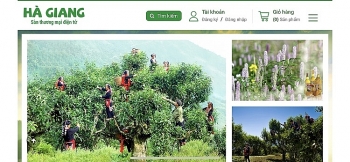 Hà Giang: Tỉnh nghèo với quyết tâm chuyển đổi số