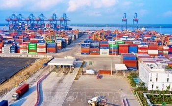 Xuất khẩu ngược dòng tăng tốc